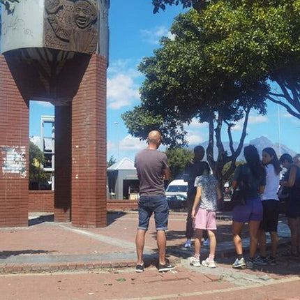 Half-Day Private Township Tour from Western Cape