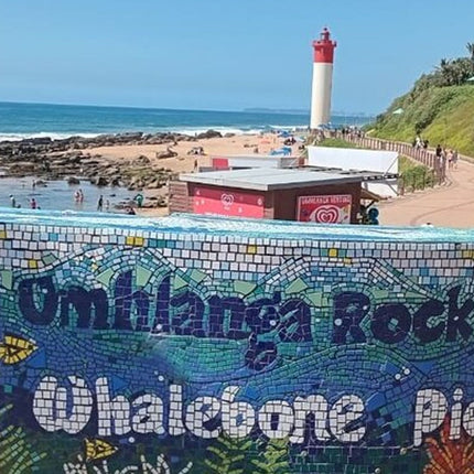 Durban Small-Group City Highlights Tour
