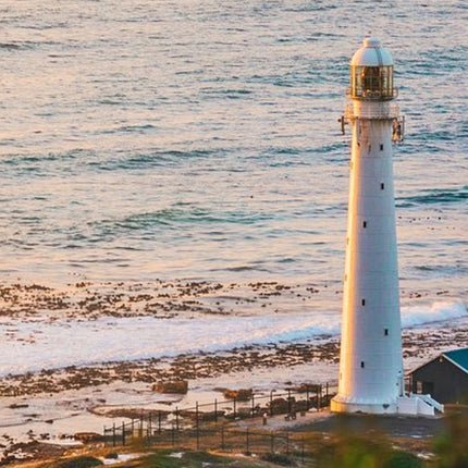 Picturesque Peninsula Tour