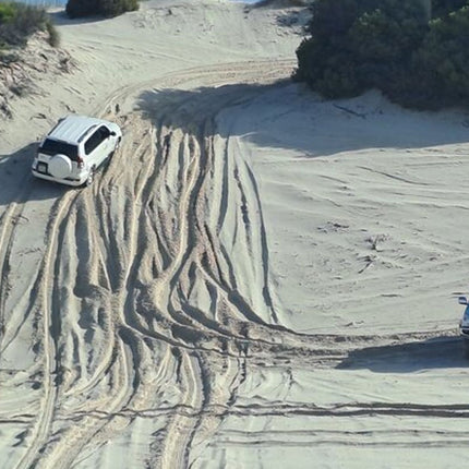 Half-Day Sand Dune Safaris in Cape Town