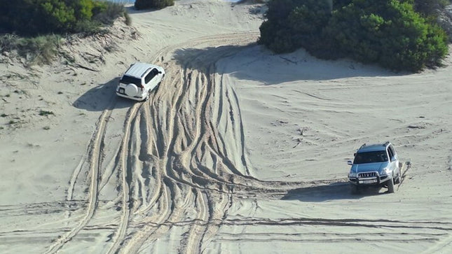 Half-Day Sand Dune Safaris in Cape Town