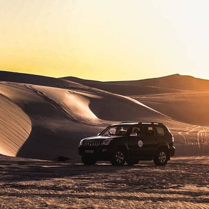 Half-Day Sand Dune Safaris in Cape Town