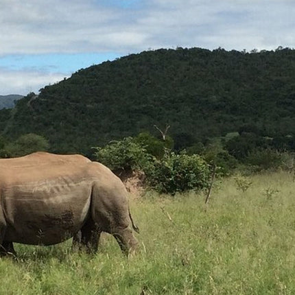 7 Days Kruger National Park Private Tour