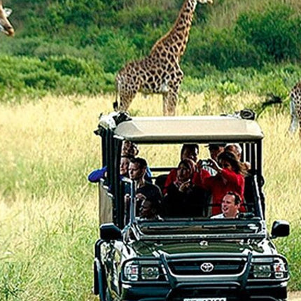 Cape Town Inverdoorn Game Reserve Tour