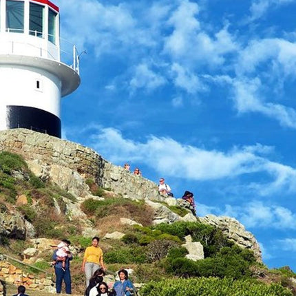 Cape Point Explore with Boulder's Penguins Small Group Day Tour