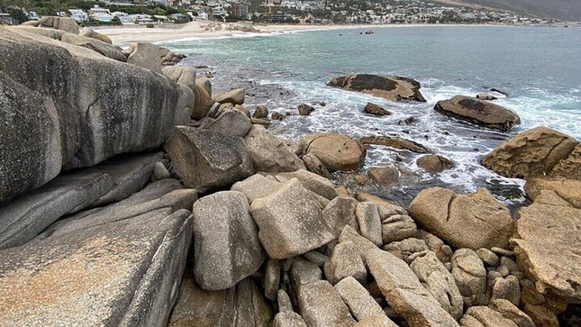 Boulders Penguins in Cape Town full day tour