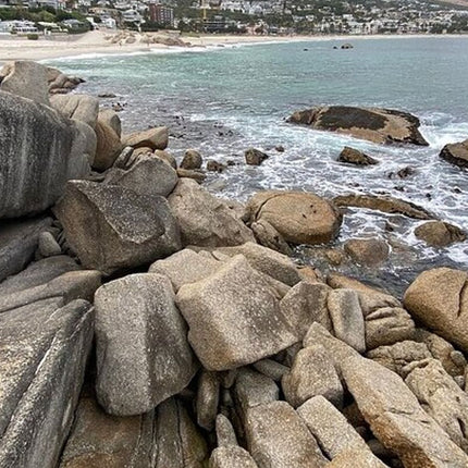Boulders Penguins in Cape Town full day tour