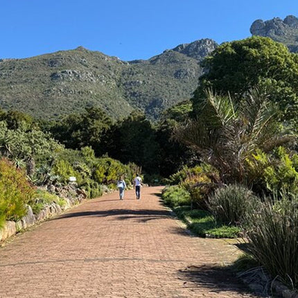 Private Tour Robben Island, Kirstenbosch and wine tasting