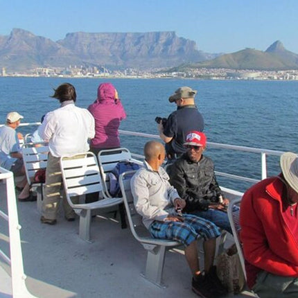 Private Tour to Robben Island and Cape Point in Cape Town