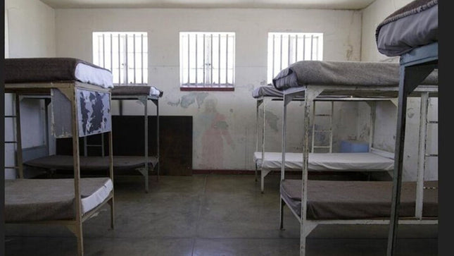 Robben Island Museum Half-Day Tour. Including all tickets.