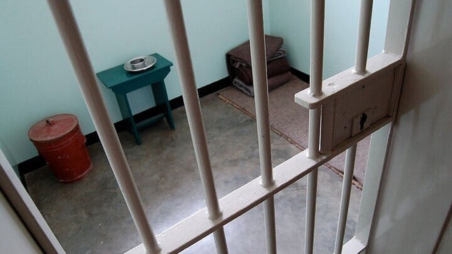 Robben Island and Cape Point Private Tour