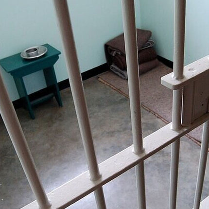 Robben Island and Cape Point Private Tour