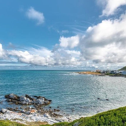 From Cape Town: Cape Agulhas Full Day Tour with Hotel Pick UP