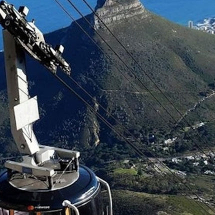 Cape Point & Table Mountain: Small-Group Guided Tour + Transfers