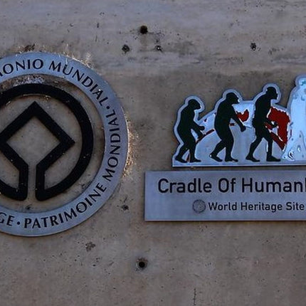Cradle of Humankind and Lesedi Private Tour from Johannesburg