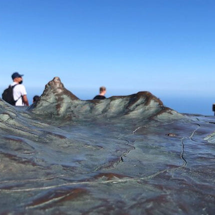 Cape Town and Cape of Good Hope Private Full-Day Tour