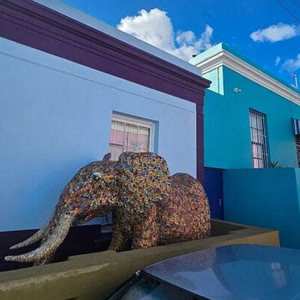 Full Day Cape Peninsula tour from Cape Town