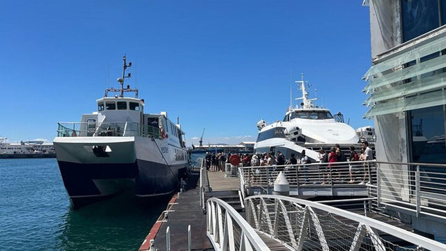 Robben Island Half Day Tour With Pre Booked Ticket from Cape Town