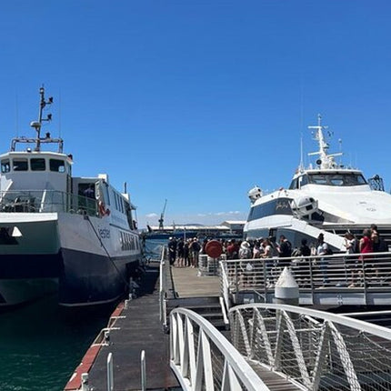 Robben Island Half Day Tour With Pre Booked Ticket from Cape Town