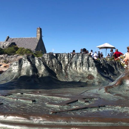 Cape Town and Cape of Good Hope Private Full-Day Tour