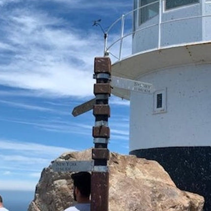 Cape Point & Boulders Beach Private Tour with Penguin Encounter