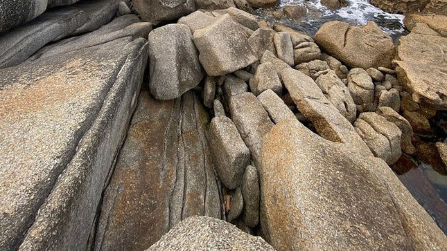 Full Day Cape Peninsula tour from Cape Town