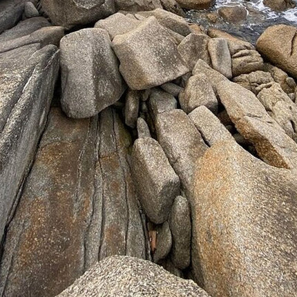 Full Day Cape Peninsula tour from Cape Town