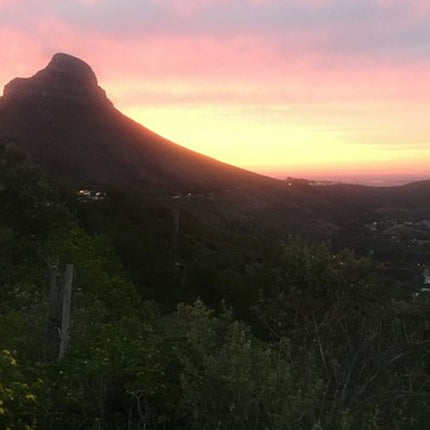 Cape Town and Cape of Good Hope Private Full-Day Tour