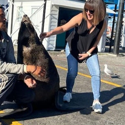 Cape Point & Boulders Beach Private Tour with Penguin Encounter