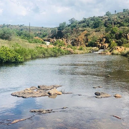 7 Days Kruger National Park Private Tour