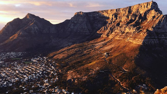 Cape Town City Tour Half-Day
