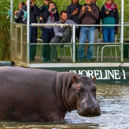 7 Days Safari - Isimangaliso, Hluhluwe & Drakensberg from Durban