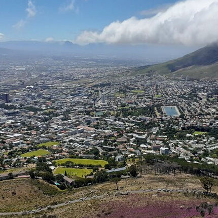 Private Cape Town City Tour
