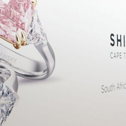 Cape Town: Half-Day City Tour