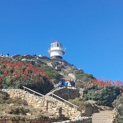 Cape of Good Hope Tour by Bus