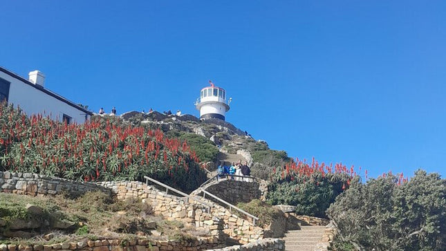 Cape of Good Hope Tour by Bus