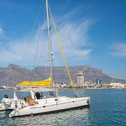 Midday Cruise in Cape Town