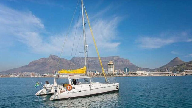 Midday Cruise in Cape Town