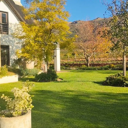 Private Cape Town Wine Tasting with Vineyards and Scenic Views