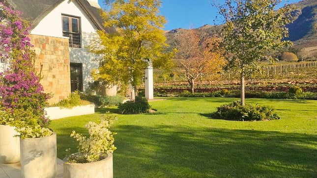 Private Cape Town Wine Tasting with Vineyards and Scenic Views