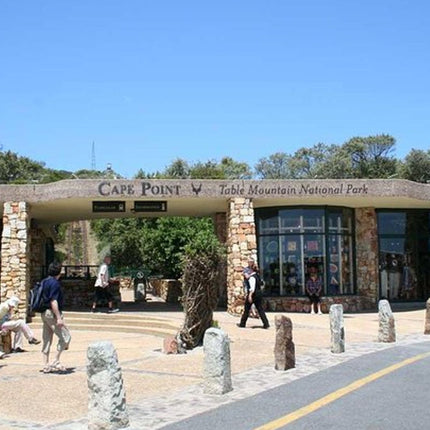 Table Mountain, Cape of Good Hope & Penguins