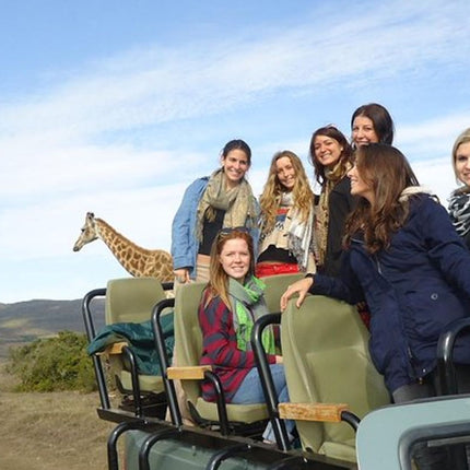 3 Day Big 5 and Bungee Tour - Garden Route Small Group Tour from Cape Town
