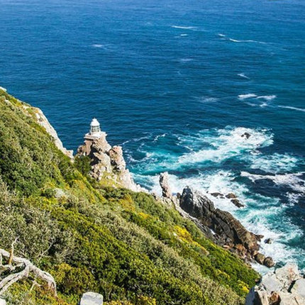 Half-Day Cape Peninsula Tour from Cape Town