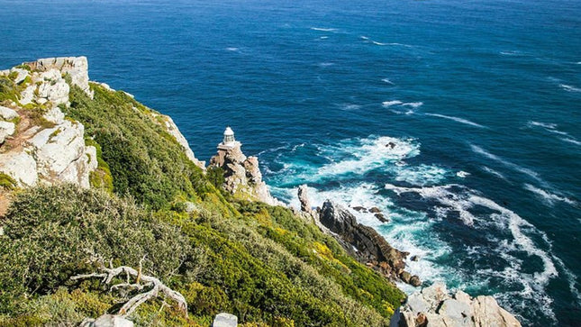 Half-Day Cape Peninsula Tour from Cape Town