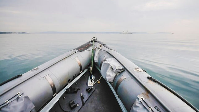 Combo Marine Wildlife Cruise & Cape Town City Full Day Tour