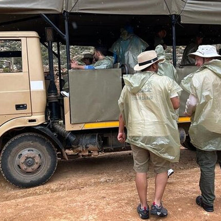 Early Morning Safari Big Five Experience