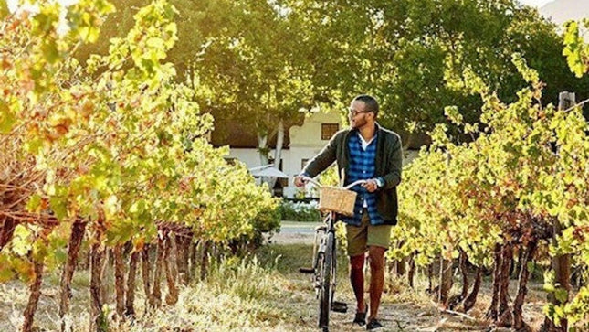 Cape Town: Sunset Aquila Safari Tour with Wine Tasting