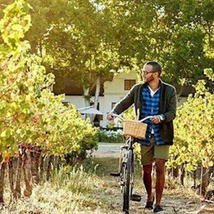 Cape Town: Sunset Aquila Safari Tour with Wine Tasting