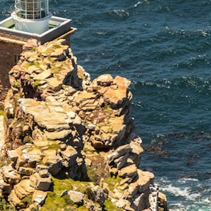 Cape Point & Boulders Beach Private Tour with Penguin Encounter