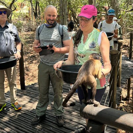 Elephant & Monkey Sanctuary Tour from Johannesburg